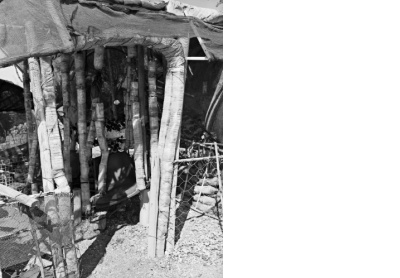 Abraham Apies’ garden ‘fairy-tales’, Hondeklipbaai l