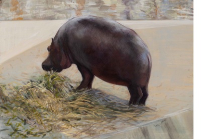 Hippo from Hyderabad