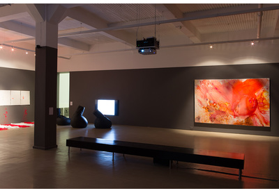 Installation view with works by Buhlebezwe Siwani, Akram Zaatari and Penny Siopis, Stevenson, Cape Town