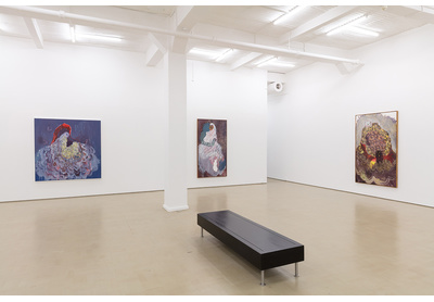 Installation view