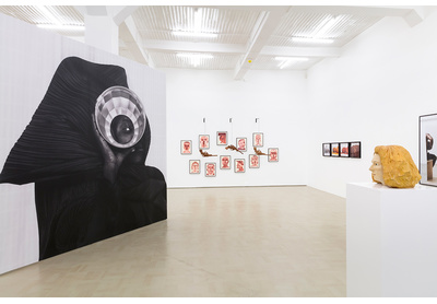 Installation view with works by Zanele Muholi, Barthélémy Toguo, Berni Searle, Paul Mpagi Sepuya and Claudette Schreuders 