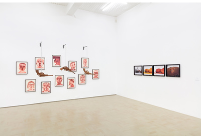 Installation view with works by Barthélémy Toguo and Berni Searle