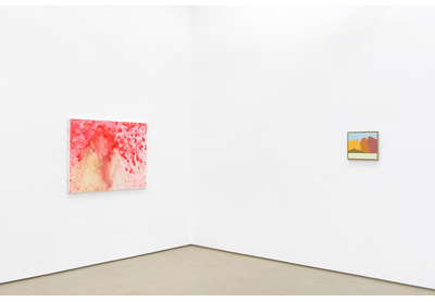 20.03 Installation view with works by Penny Siopis and Etel Adnan