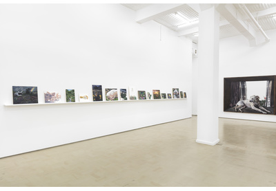 Installation view