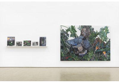 Installation view