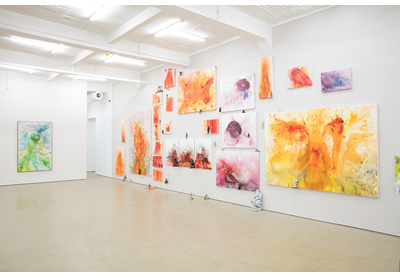 Installation view