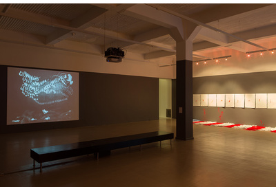 Installation view with works by Robin Rhode and Buhlebezwe Siwani, Stevenson, Cape Town