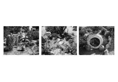 Lynette Losper’s garden, St Helena Bay, details I, ll & lll