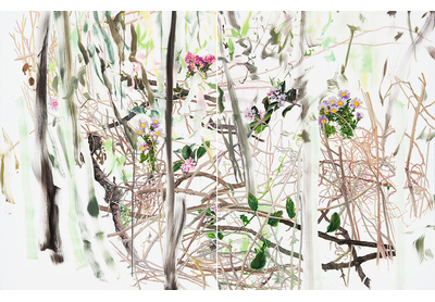Undergrowth 1