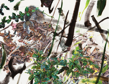 Undergrowth 7