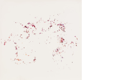 Untitled 17 (Still Life with Flowers)