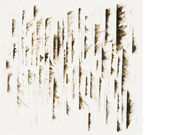 Works on White Paper V