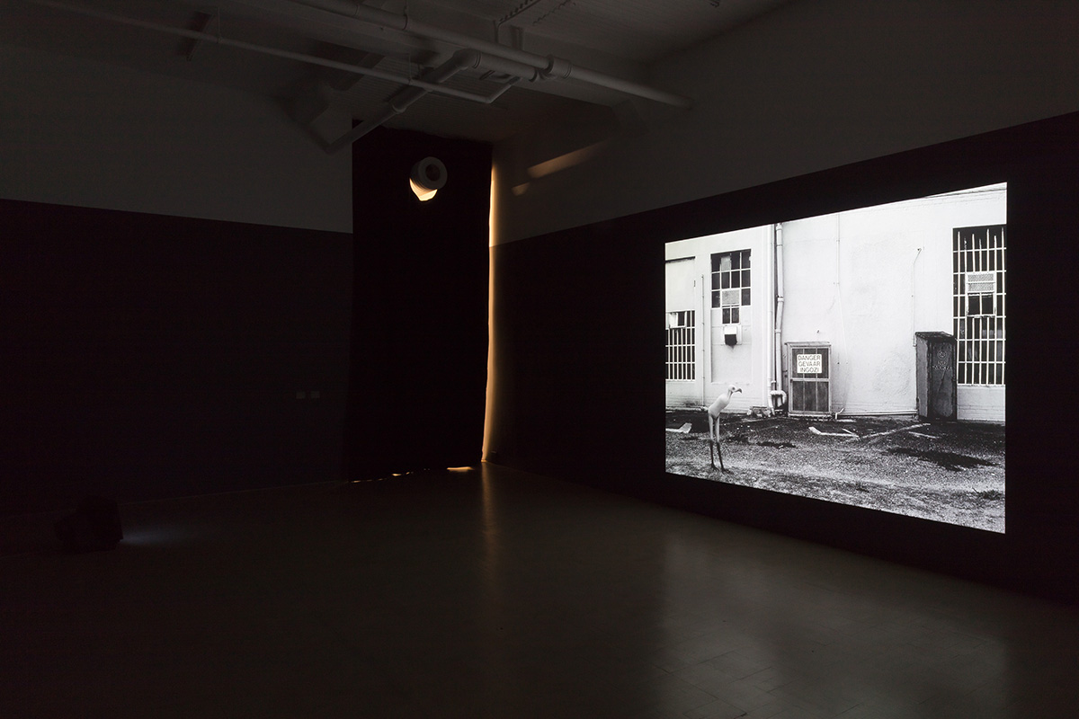 Installation view