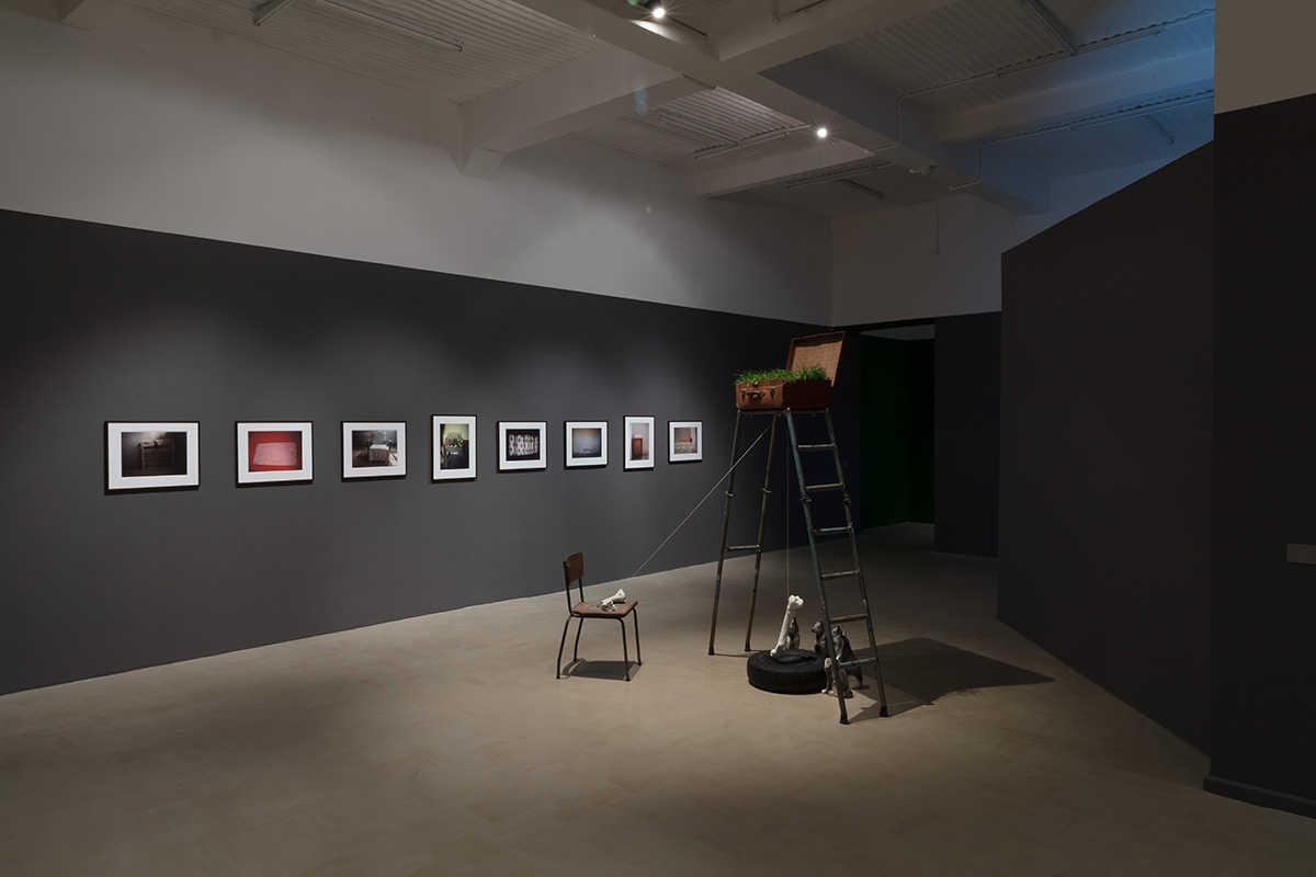 Installation view