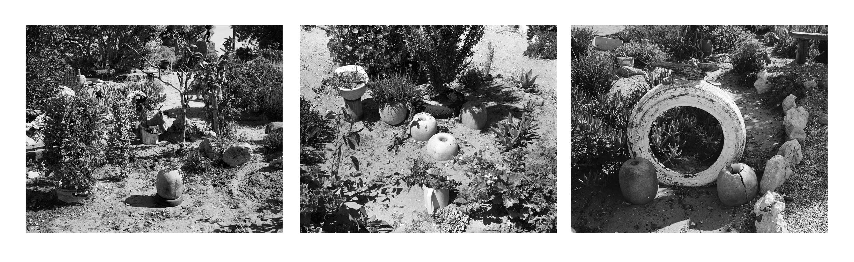  - Lynette Losper’s garden, St Helena Bay, details I, ll & lll, 2024
